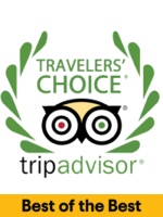 TripAdvisor 2020 Travelers' Choice Award TripAdvisor 2020 Travelers' Choice Award